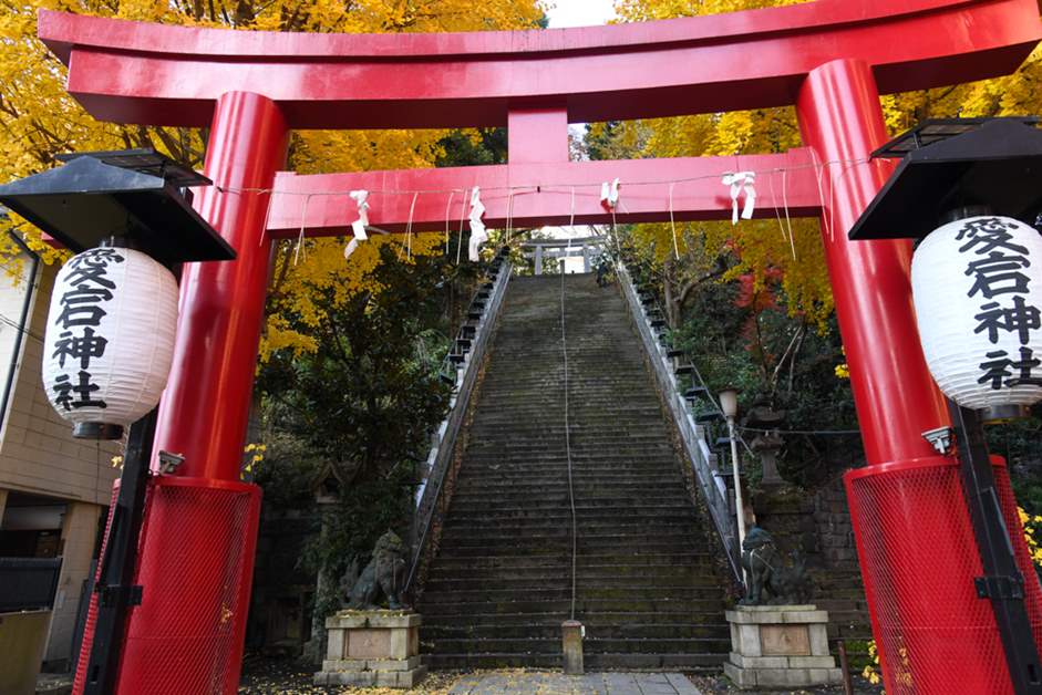 1月17日 #マツコの知らない世界 で今年最強の開運神社として宮崎市の一葉稲荷神社が紹介されました⛩✨ 鮮やかな朱色の千本鳥居が印象的な一葉稲荷神社 。「一葉の松」が見つかった事が由来し、開運にご利益がある神社です。 約350年ほど前の大地震で神社が津波に飲み込ま 